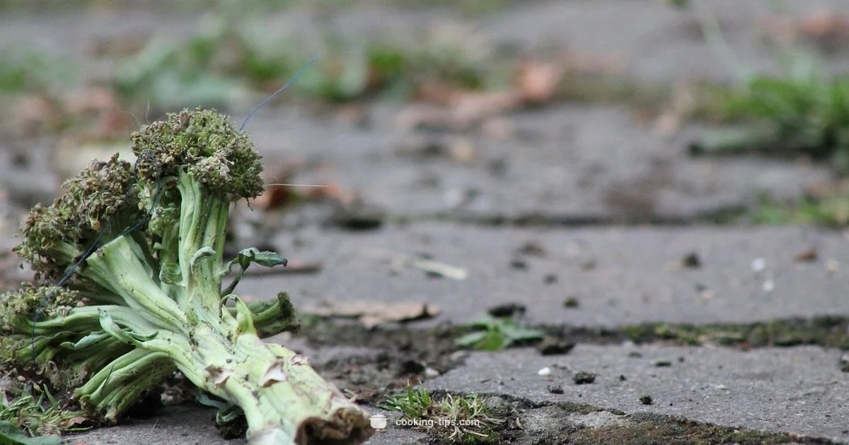 Safe Leftovers Guide Safe Leftovers Guide - Cooking Tips