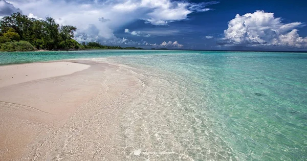 Cook Islands Guide - Cooking Tips