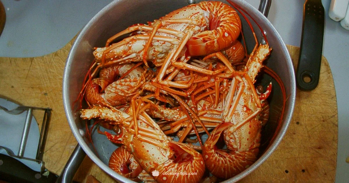 Cooking in Schools - Cooking Tips