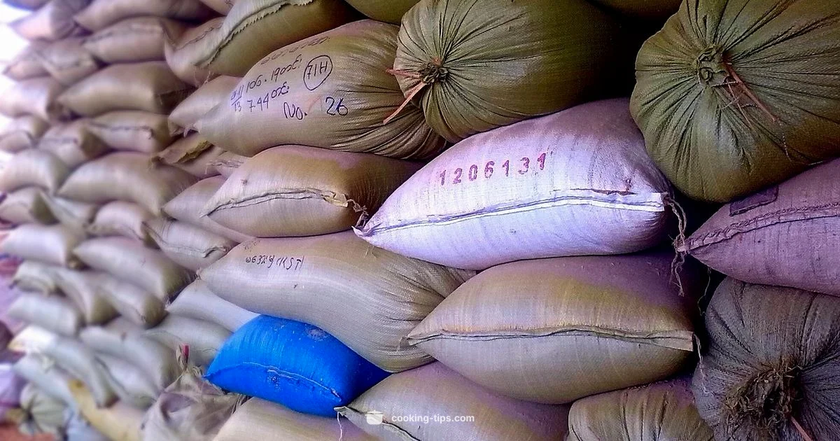 Rice Fridge Guide - Cooking Tips