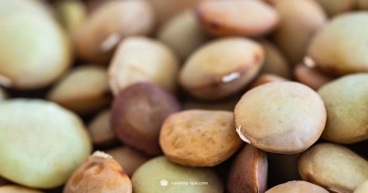 Perfect Lentil Cooking - Cooking Tips