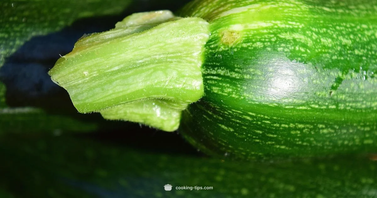 Zucchini Cook Guide - Cooking Tips