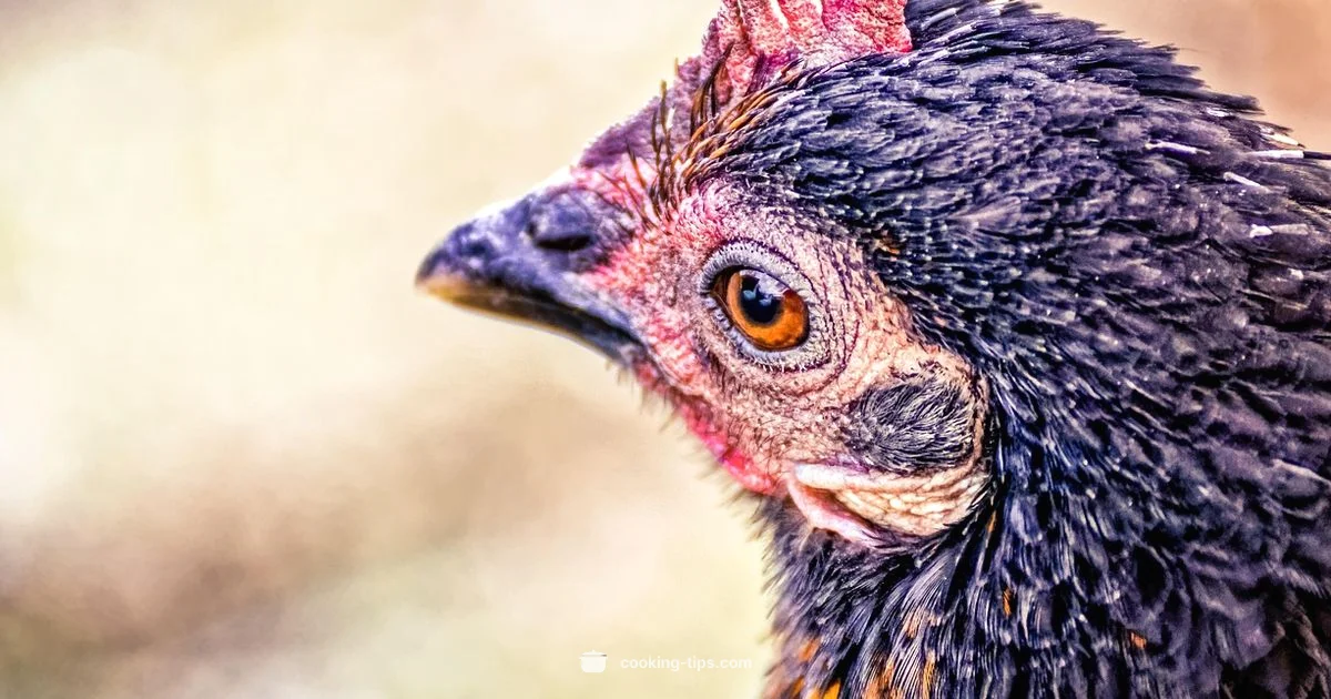 Juicy Chicken Tips - Cooking Tips