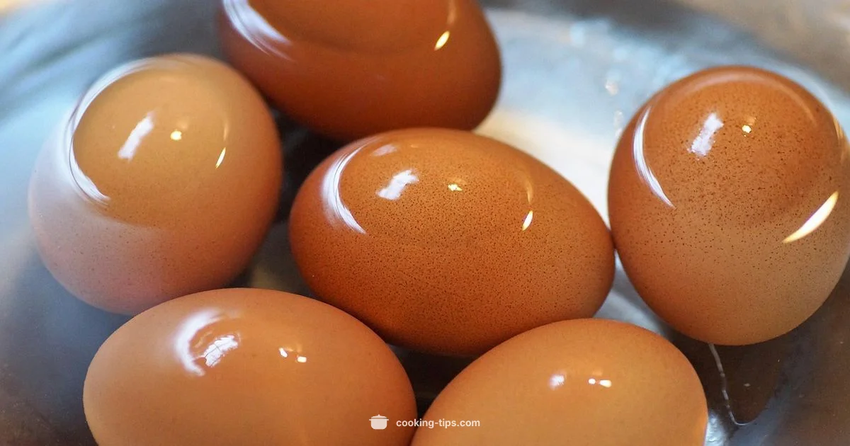 Microwave Egg Guide - Cooking Tips