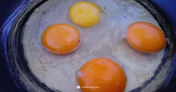 Egg Microwave Guide - Cooking Tips