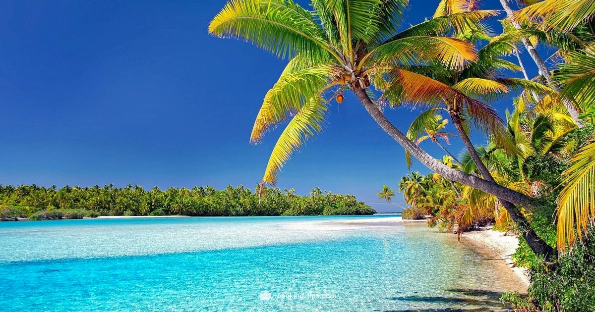 Cook Islands Location Cook Islands Location - Cooking Tips
