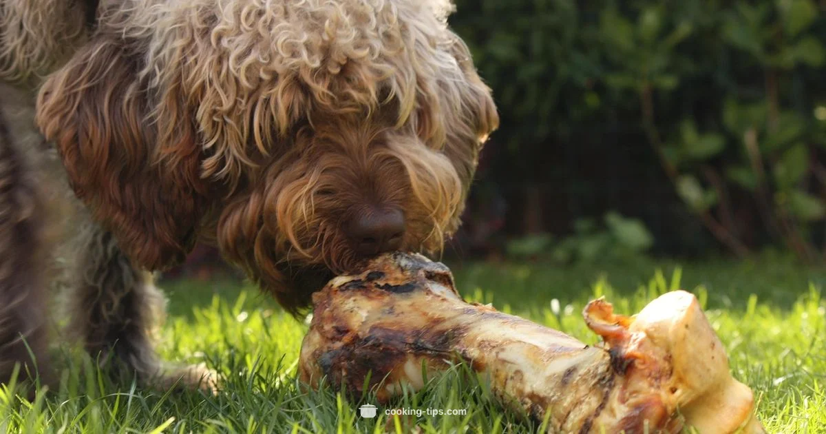 Bones and Dogs Risk - Cooking Tips