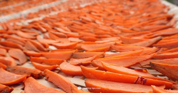 Dogs and Potatoes - Cooking Tips