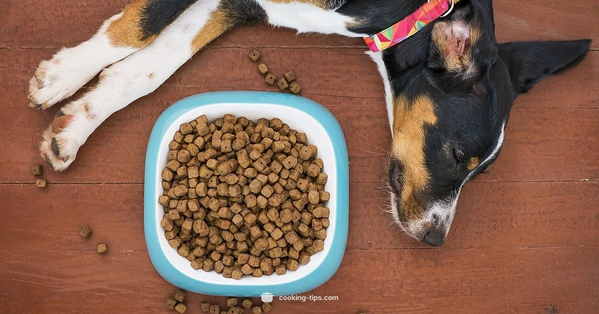 Oats for Dogs Guide - Cooking Tips