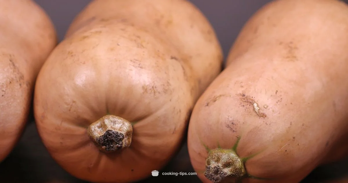 Butternut Squash Guide - Cooking Tips