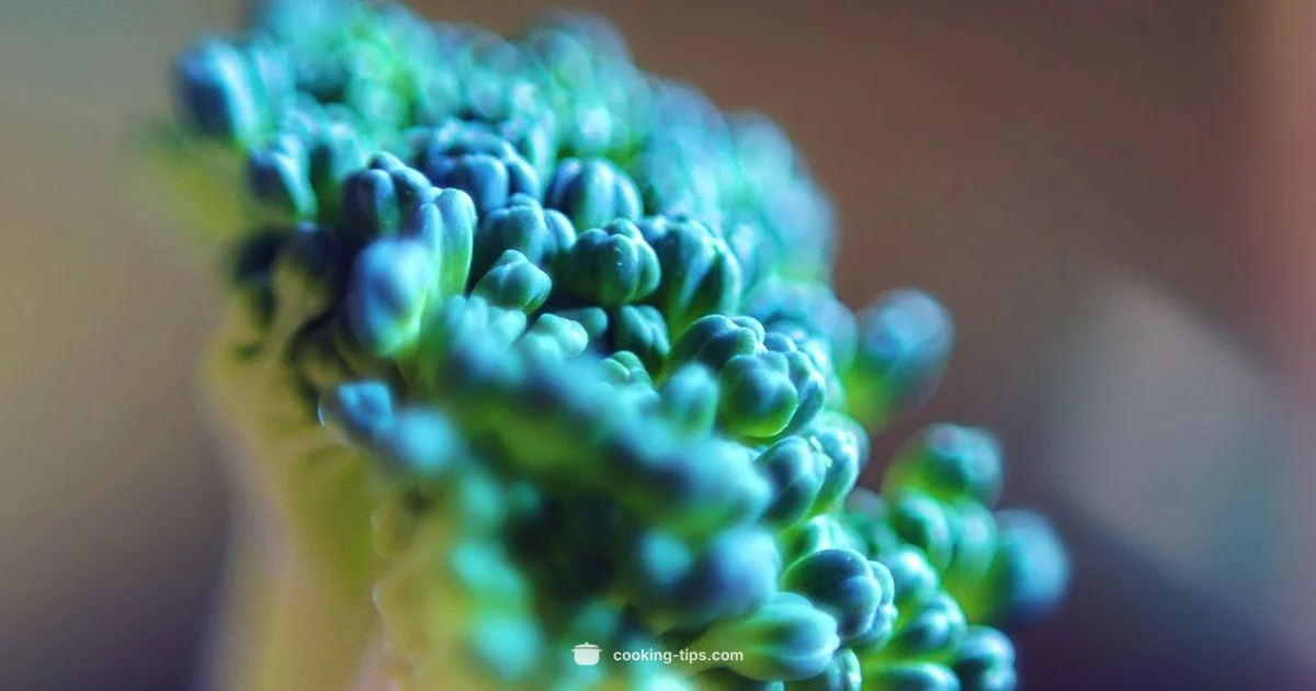 Steam Broccoli Quick Guide - Cooking Tips
