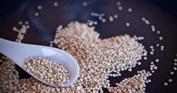 Fluffy Quinoa Every Time - Cooking Tips