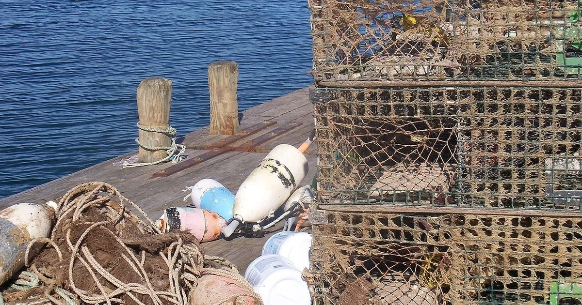 Lobster Tail Cooking - Cooking Tips