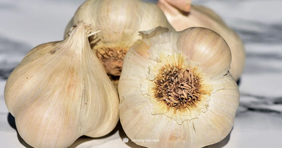 Odor Removal Guide - Cooking Tips