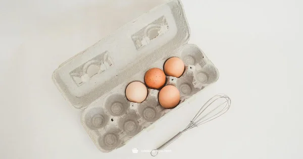 Cook for Your Cat - Cooking Tips