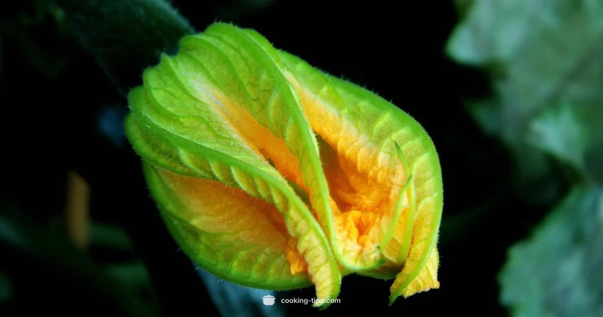 Vegetarian Cooking Vegetarian Cooking - Cooking Tips