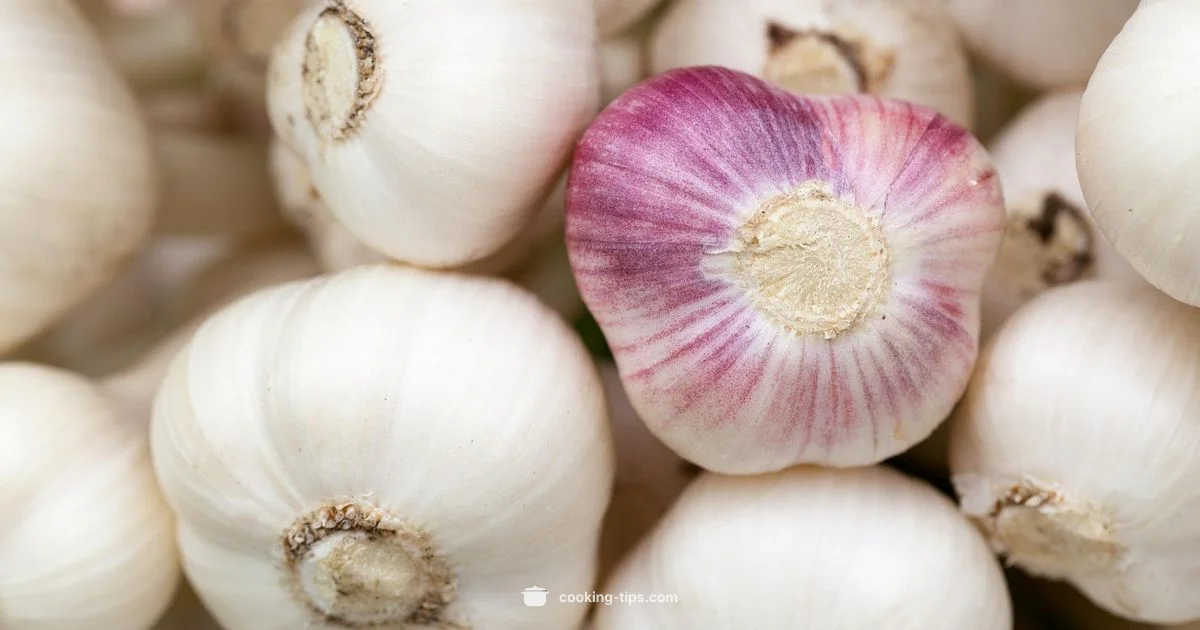 Garlic and Dogs - Cooking Tips