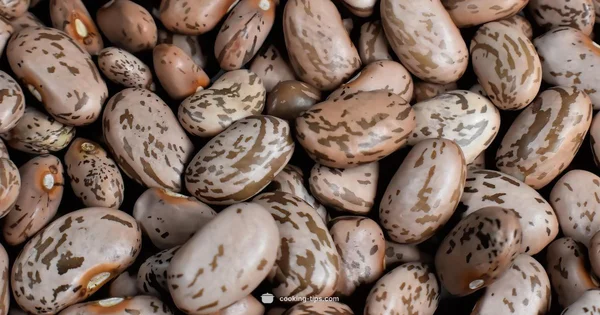 Pinto Beans Guide - Cooking Tips