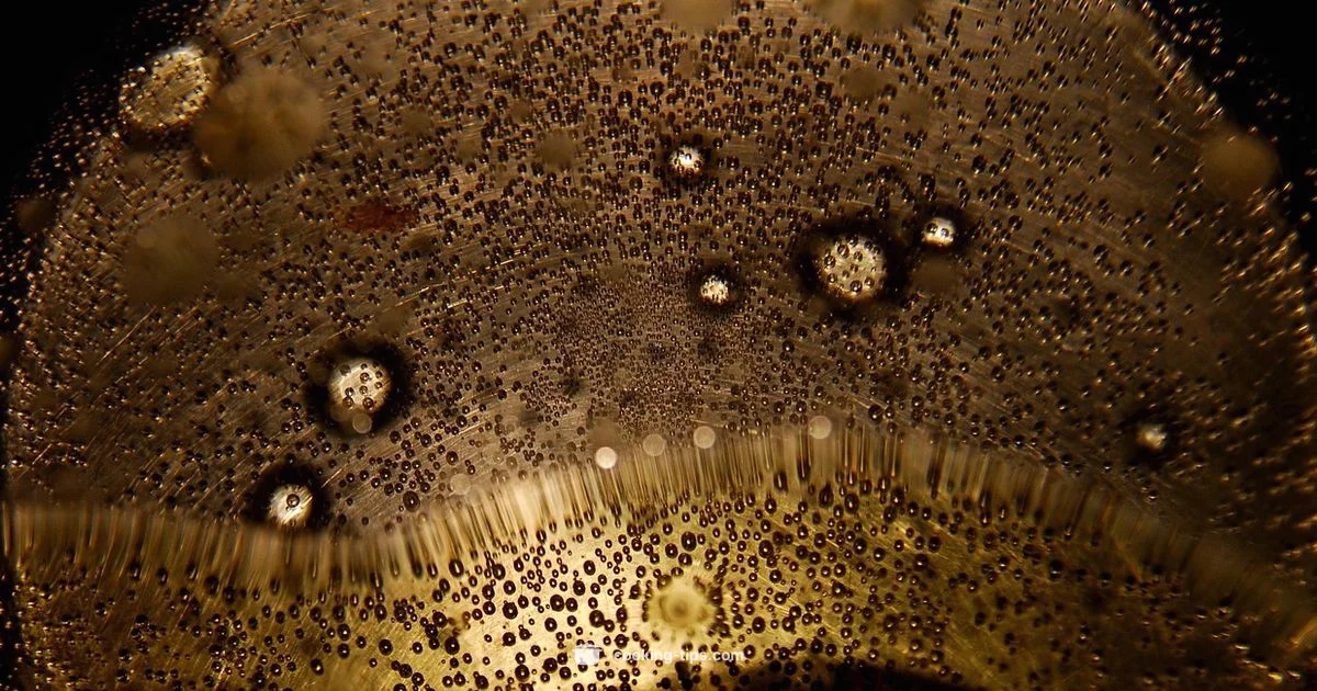 Oil-Free Cooking - Cooking Tips