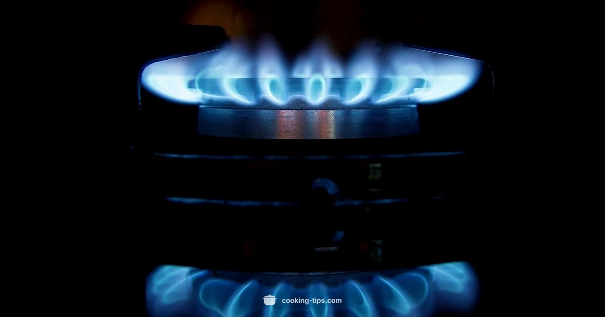 Cooking Gas Basics - Cooking Tips