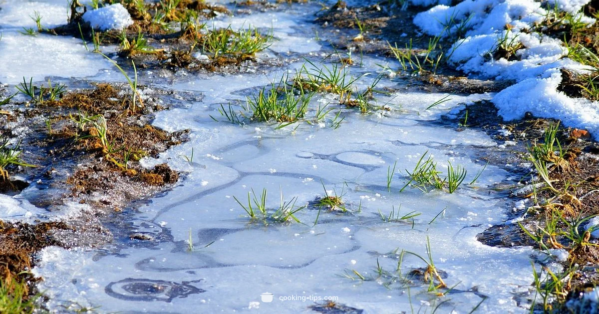 Frozen Beef Mince - Cooking Tips