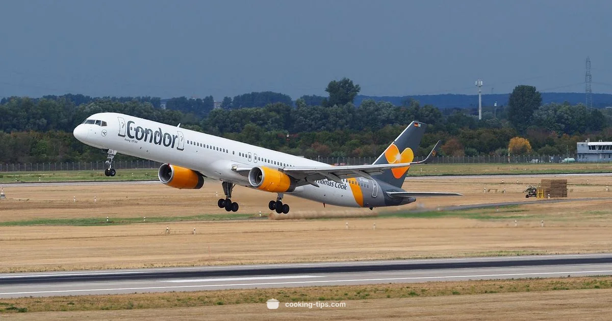 Flight Partnerships - Cooking Tips