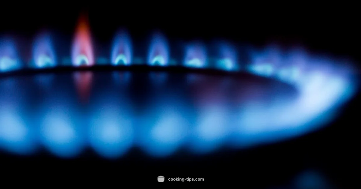 Stove Rice Guide - Cooking Tips