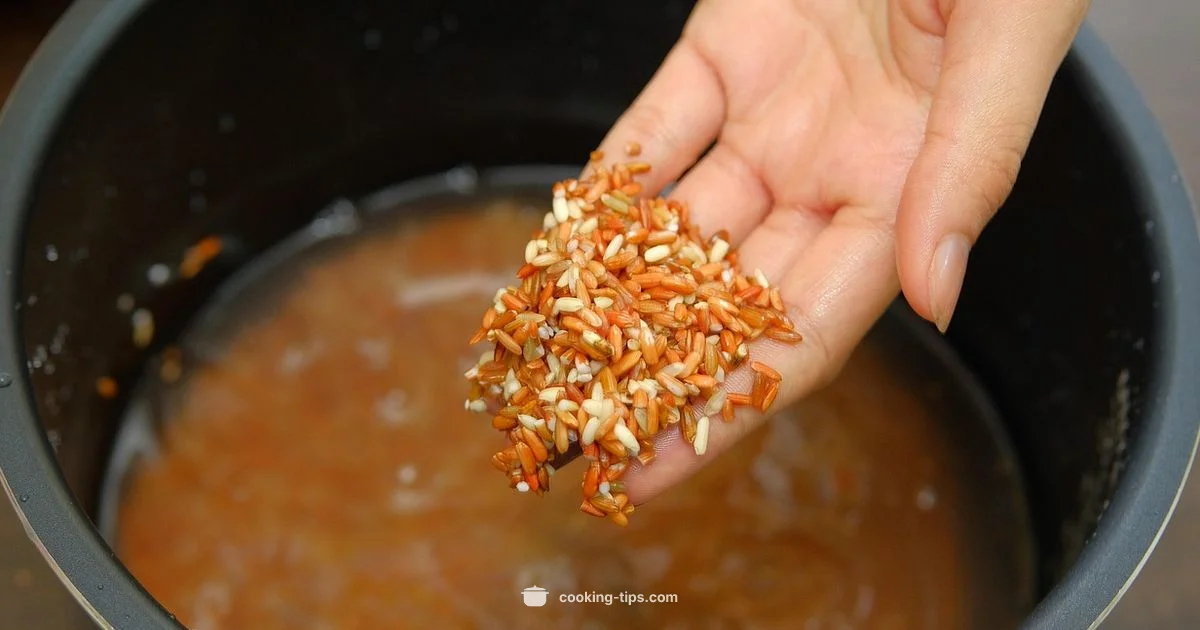 Rice Storage Guide - Cooking Tips