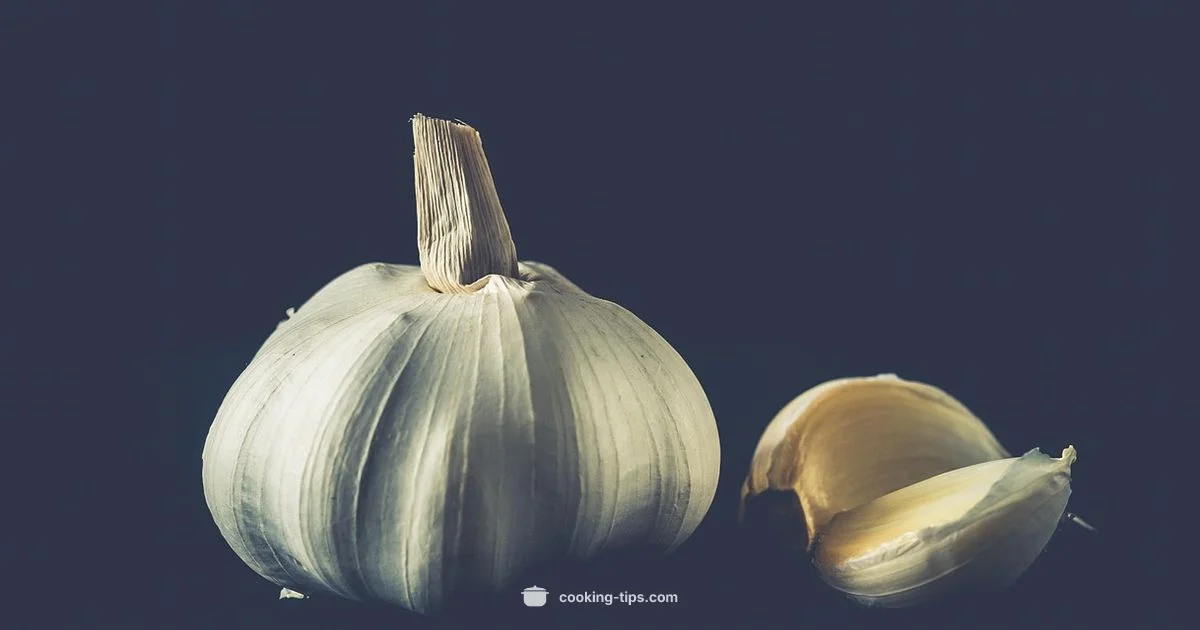 Why Cook Matters - Cooking Tips