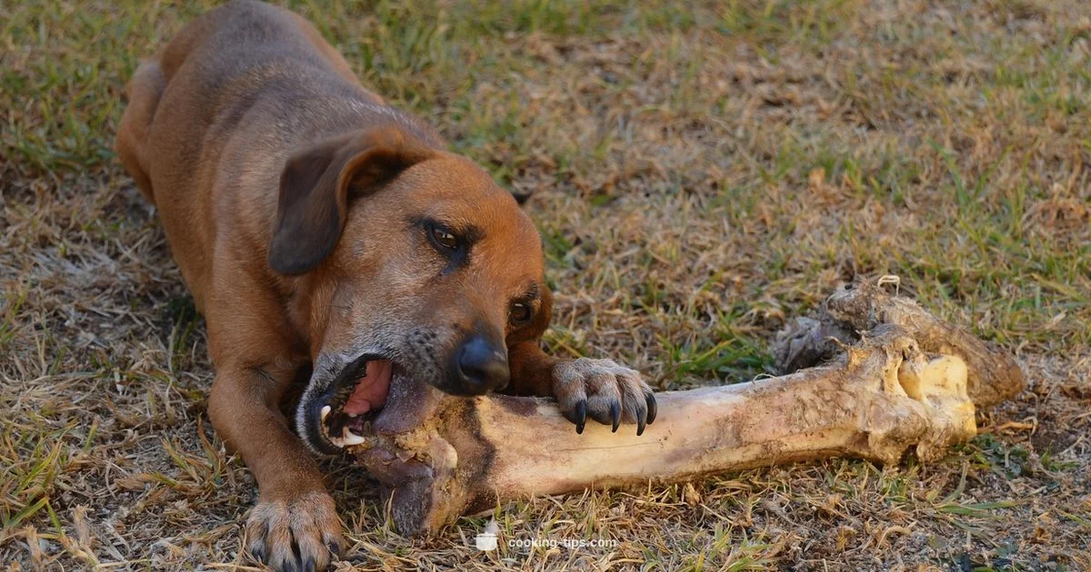 Bone Safety for Dogs - Cooking Tips