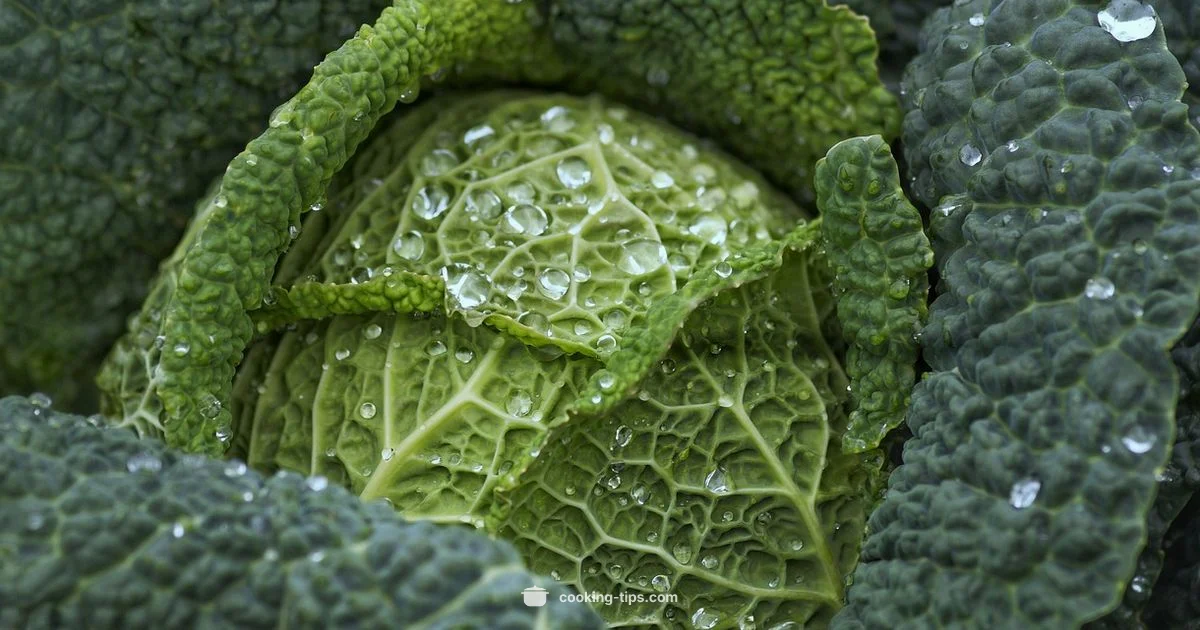 Fiber in Cabbage Fiber in Cabbage - Cooking Tips