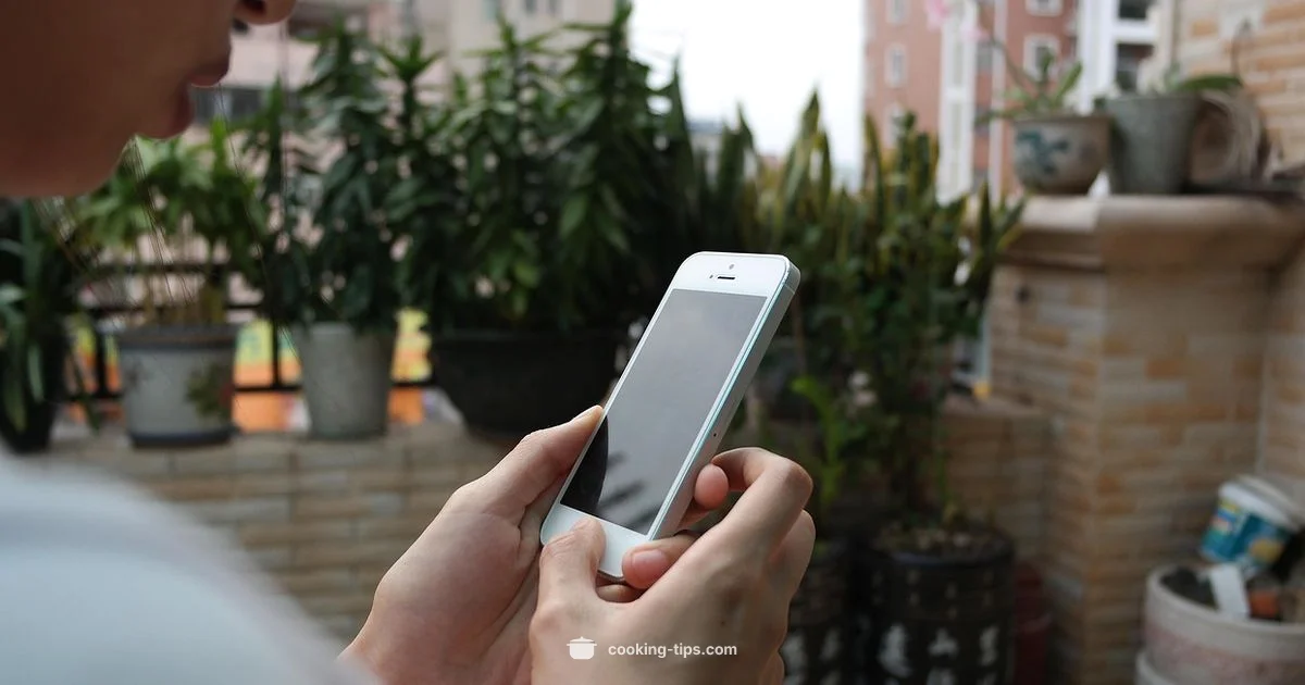 Cookie Check on iPhone - Cooking Tips