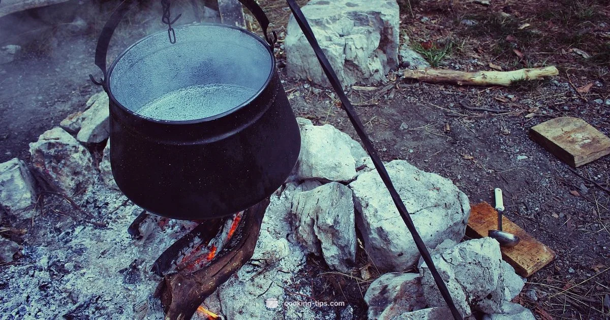 BotW Cooking Basics - Cooking Tips