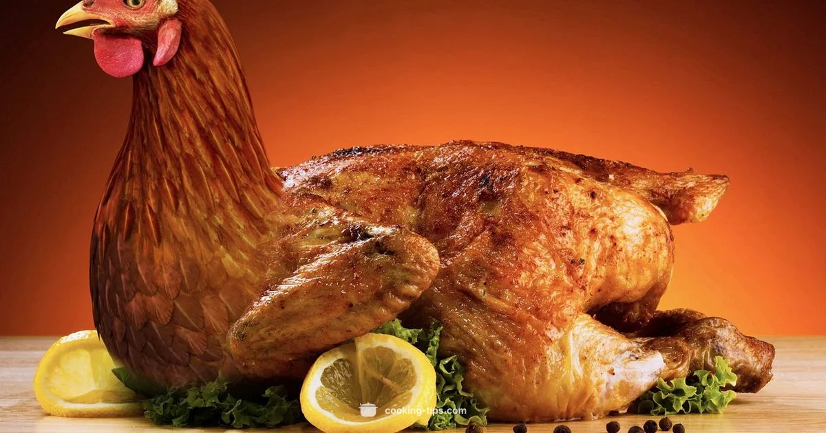 Juicy Chicken Guide - Cooking Tips