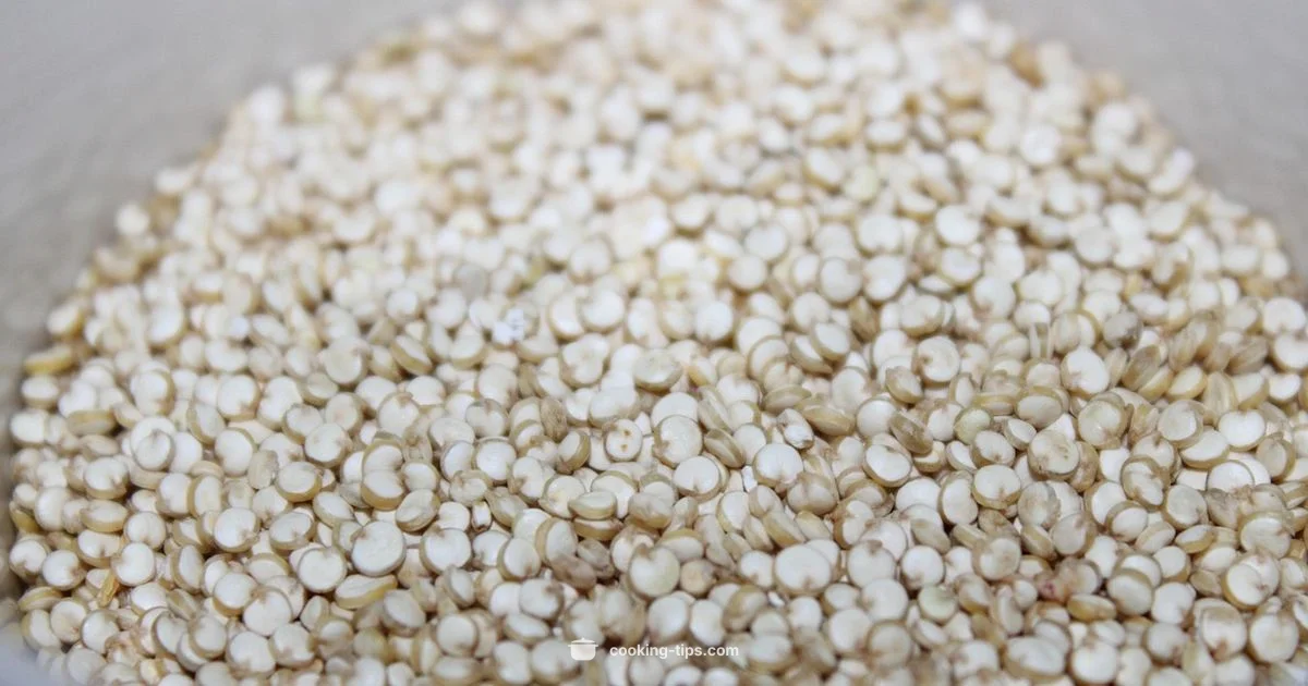 Quinoa Guide - Cooking Tips