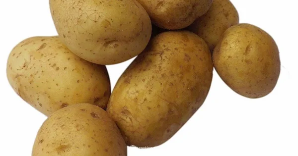 Freezing Potatoes - Cooking Tips