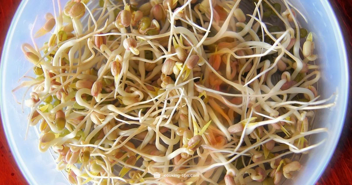 Bean Sprouts Guide - Cooking Tips