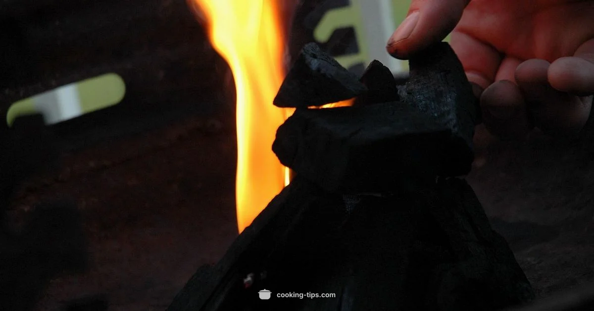 Charcoal Grill Guide - Cooking Tips