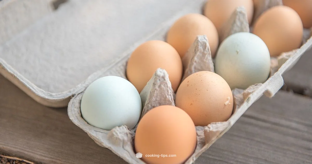 Cook vs Williams - Cooking Tips