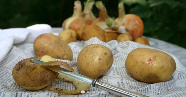 Who Cooks Potato Salad - Cooking Tips