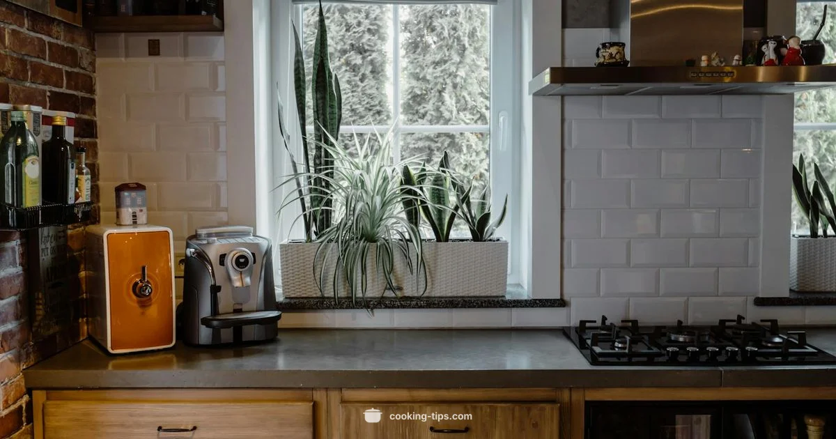 Rice Cooker Guide - Cooking Tips