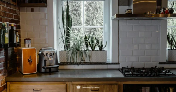 Rice Cooker Guide - Cooking Tips