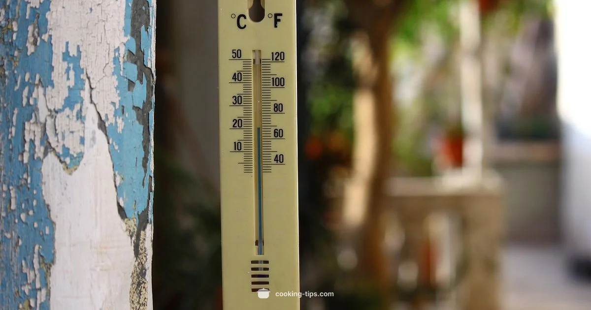 Safe Temps - Cooking Tips