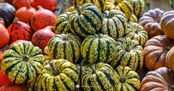 Healthy Vegan Bowls - Cooking Tips