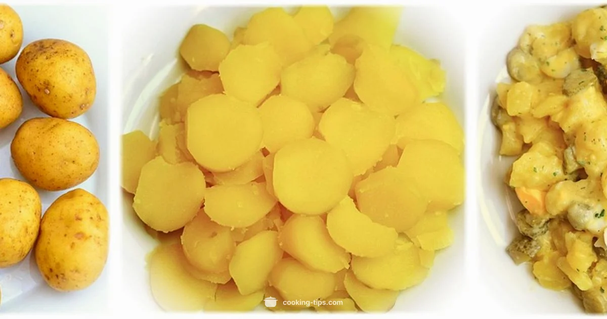 Potatoes for Dogs - Cooking Tips