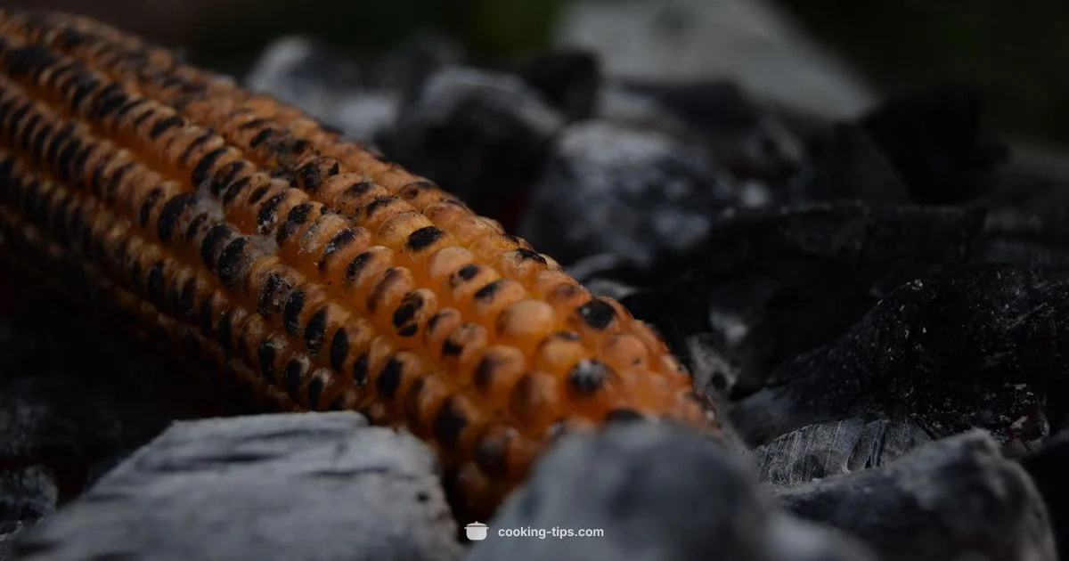 Corn on Cob Guide - Cooking Tips