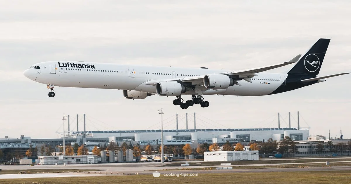 Carry-On Cuisine Guide - Cooking Tips