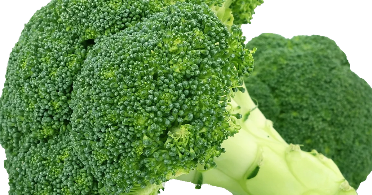 Cook Broccoli Perfectly - Cooking Tips