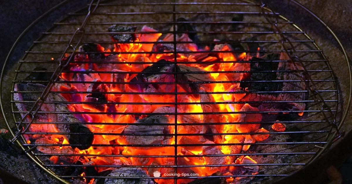 Blackstone Griddle Guide - Cooking Tips