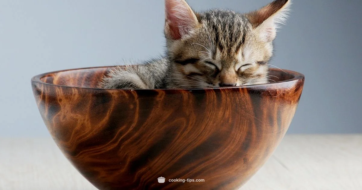 Cooked Meat for Cats - Cooking Tips